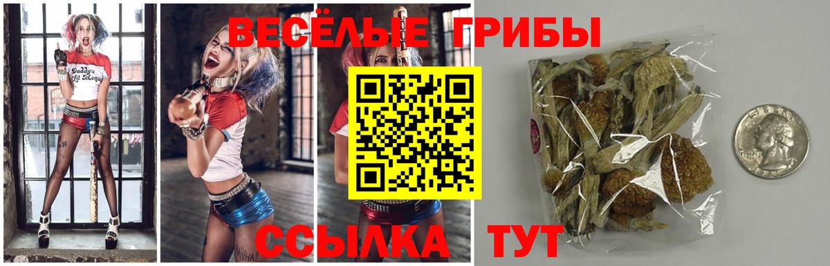 Галлюциногенные грибы MAGIC MUSHROOMS Кимовск