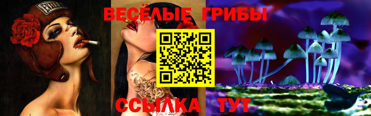 Псилоцибиновые грибы Psilocybine cubensis  Галлюциногенные грибы GOLDEN TEACHER  Вход с VPN  Кимовск 